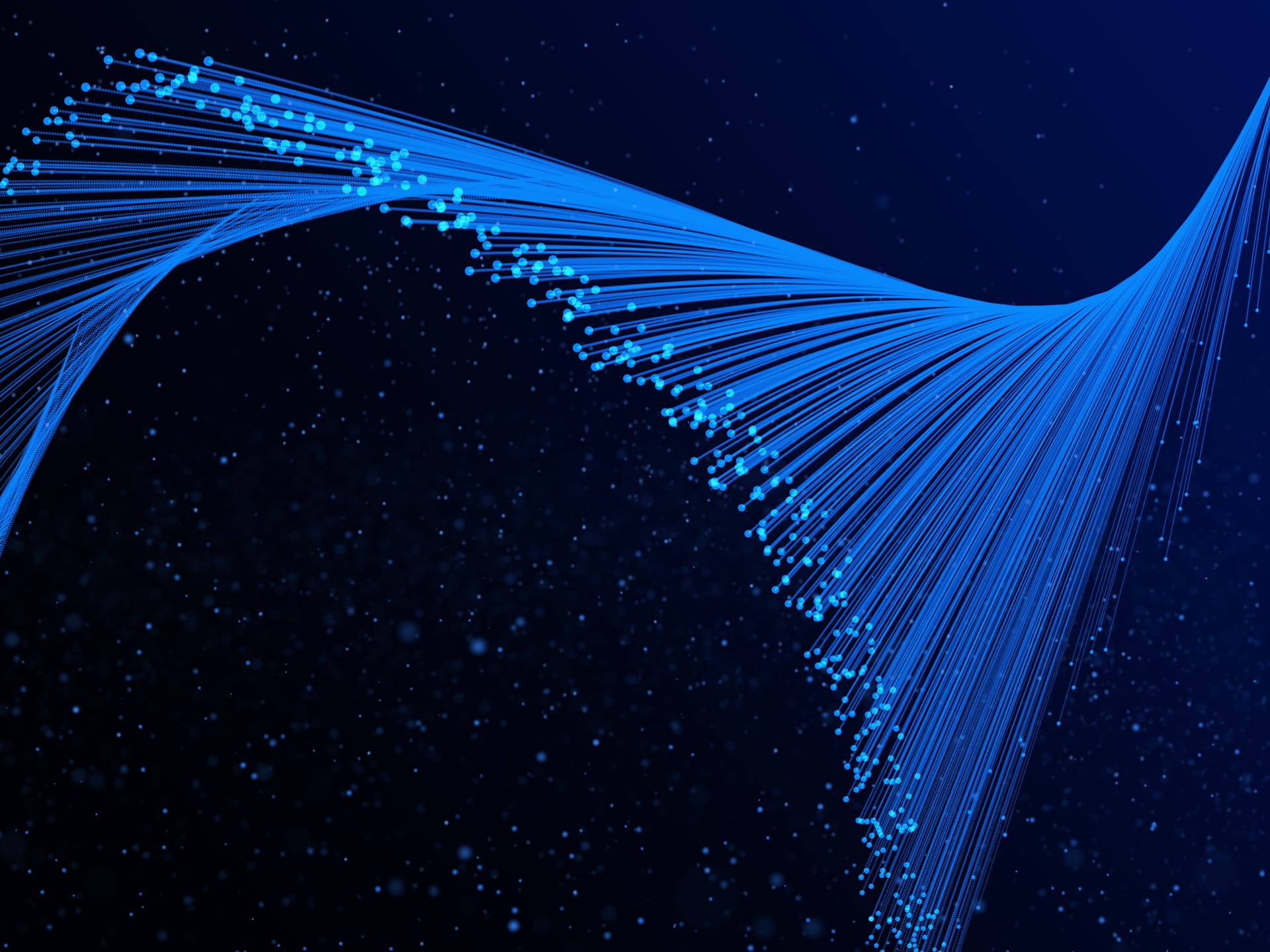Network & VoIP/PBX Services service